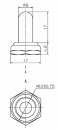 35430_2.jpg