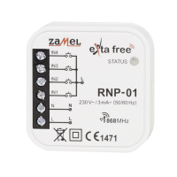 RNP-01.png