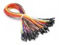 PLY093.jpg